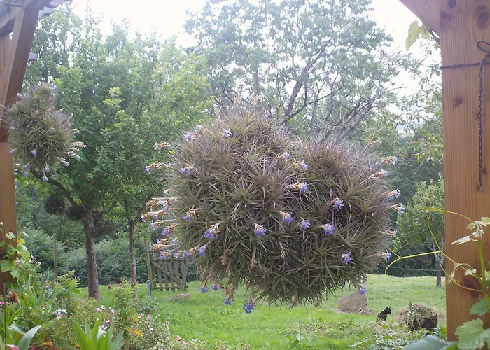 La Charola * Lamadrid