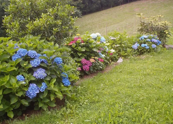 乡村民宿 La Charola *